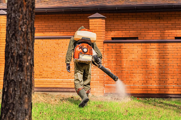 Trusted Bed Bug Control service in Soddy-Daisy, TN - Nex Pest Control